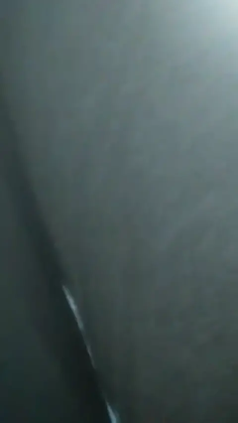 an white girl fucked by a dog